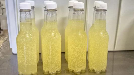 'Refrigerante do bem': bebida mineira de soro de leite promete revolucionar o mercado