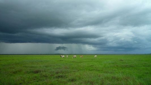 El Niño deve elevar riscos e exigir mais planejamento da horticultura em 2026