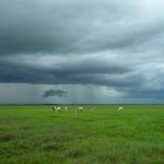El Niño deve elevar riscos e exigir mais planejamento da horticultura em 2026