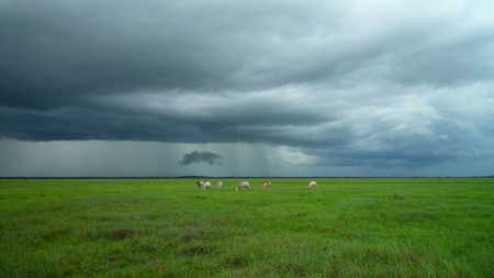 El Niño deve elevar riscos e exigir mais planejamento da horticultura em 2026