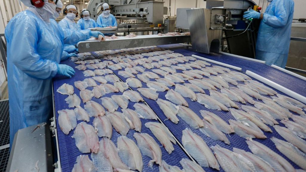 Peixe brasileiro mira o México: nova estratégia para exportar tilápia em  2026 | Rádio Itatiaia