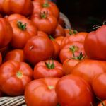 Produção de tomate bate recorde no Brasil, mas clima e custos acendem alerta