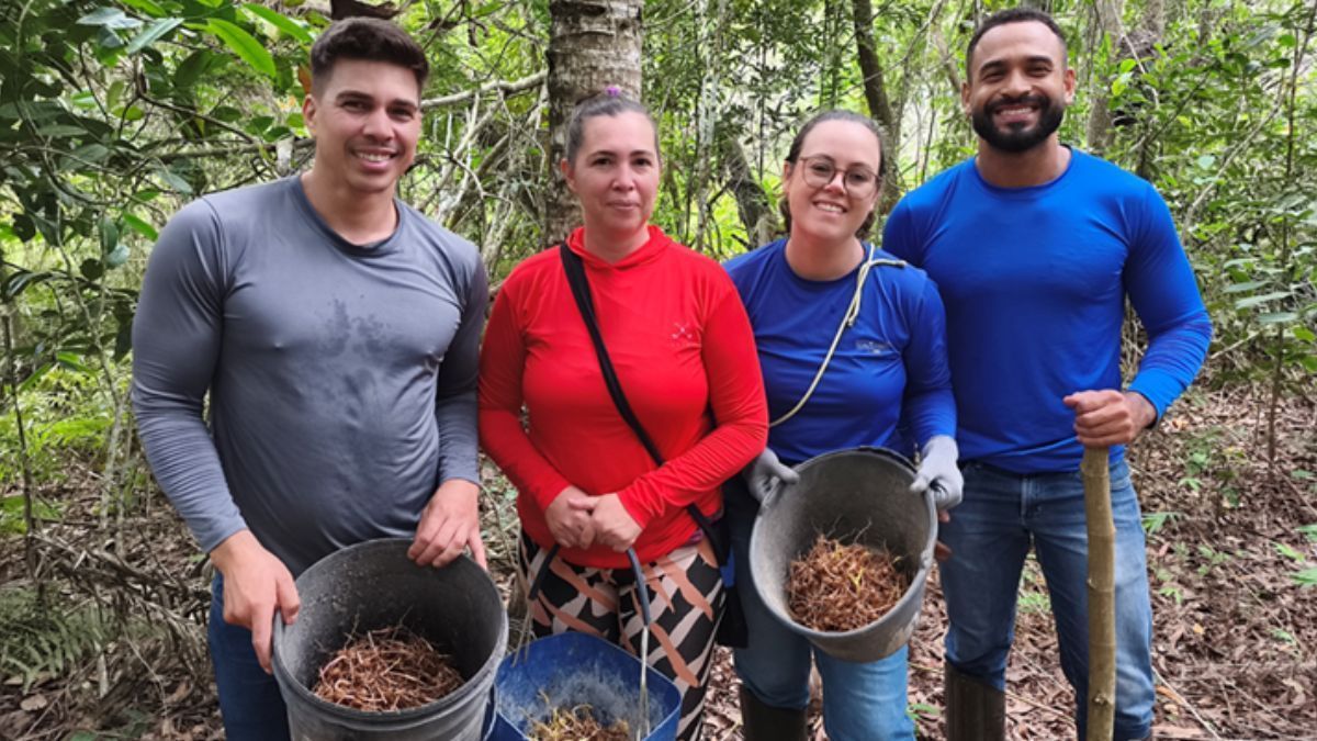 Projeto promove replantio de palmeira juçara na bacia do Rio Doce