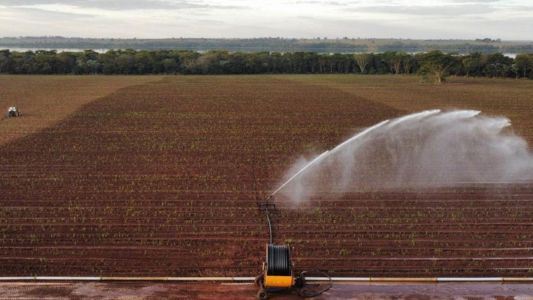 Energia do bagaço de cana ajuda a manter o fornecimento elétrico durante a seca