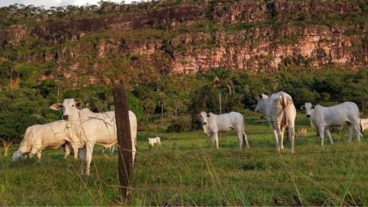 Cáceres, Vila Bela da Santíssima Trindade e Juara lideram o ranking de munícipios
