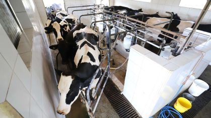 Paraná regulamenta proibição da reconstituição de leite em pó importado para consumo