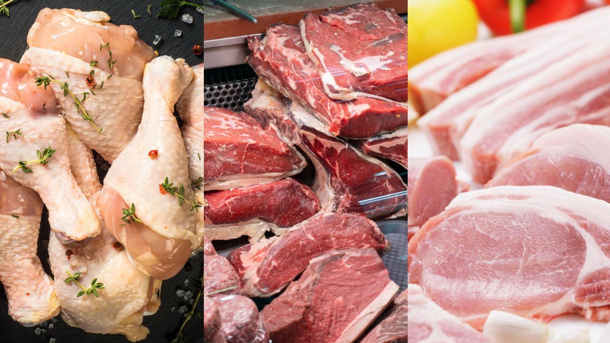 Carne bovina, suína e frango: produção deve atingir novos recordes em 2026, aponta Conab