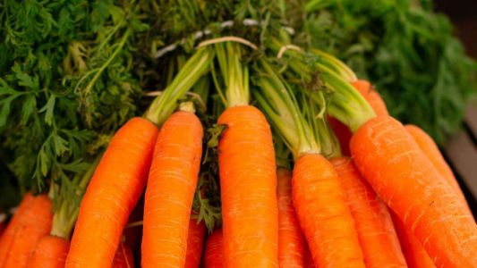 Cenoura recua nas Ceasas em novembro enquanto hortaliças e frutas encarecem