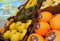 Comércio do RN com a União Europeia supera US$ 275 milhões com superávit em 2025