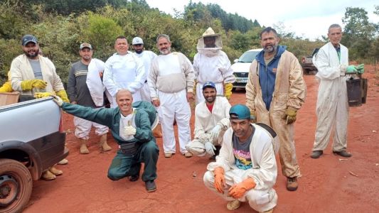 Projeto fortalece apicultura e amplia renda de produtores no Alto Jequitinhonha 