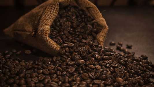Exportação mundial de café soma 138 mi de sacas em 2024/25; América do Sul lidera, mas cai