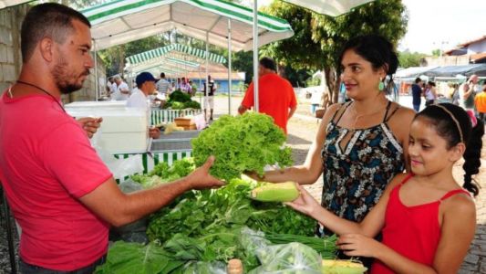Feiras livres fortalecem renda e valorizam a agricultura familiar em Minas Gerais