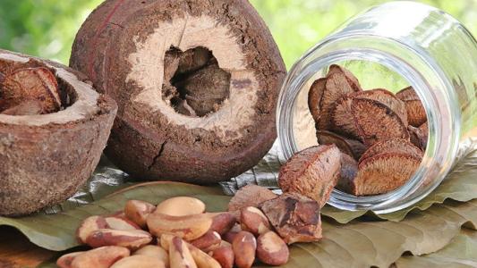 Farinha à base de castanha-do-brasil se destaca como fonte proteica para alimentos