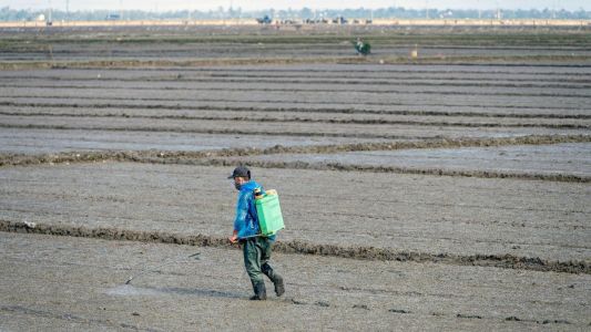 Resíduos de agrotóxicos em alimentos atingem menor índice de irregularidades em 8 anos