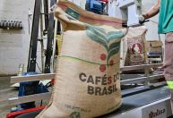 Acordo Mercosul-UE: Minas Gerais é o maior exportador agropecuário do bloco