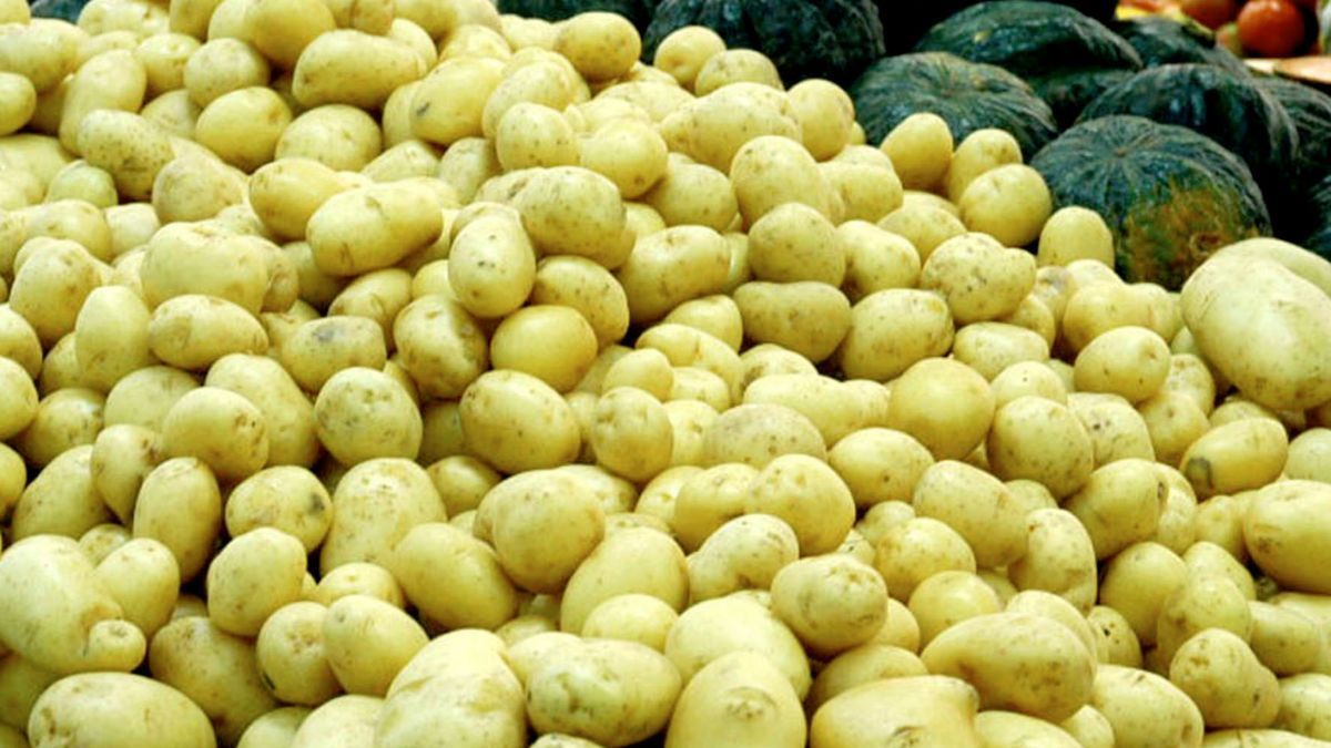 Agro do Paraná começa 2026 com boa produção e queda nos preços de hortigranjeiros