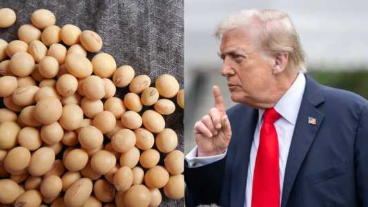 China aumenta compras de soja dos EUA pós-acordo, mas meta de Trump segue distante