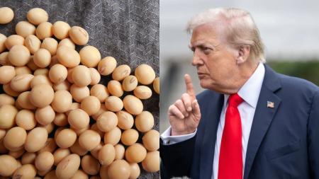 China aumenta compras de soja dos EUA pós-acordo, mas meta de Trump segue distante