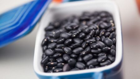 Exportações de feijão batem recorde histórico, apesar de variações no mercado interno