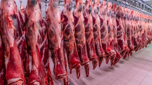 Carne bovina