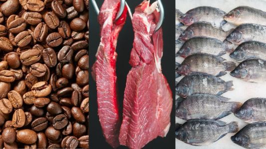 Carne, café e pescados são prioridade em acordo com os EUA