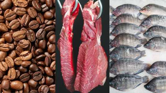 Carne, café e pescados são prioridade em acordo com os EUA