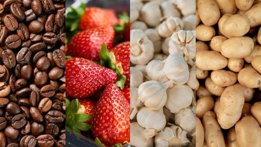Café, morango, alho e batata