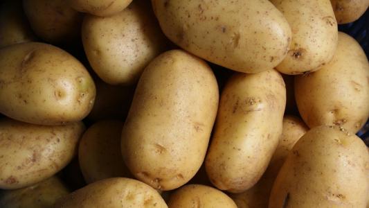 Batata-inglesa