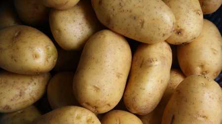 Batata-inglesa