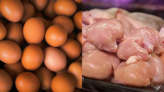 Ovos e frango
