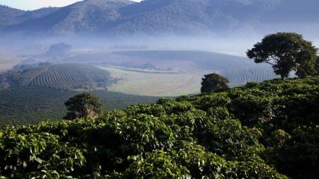 Café da Mantiqueira de Minas atrai compradores de 11 países, em missão pré-SIC