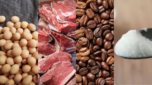 Soja, carne bovina, café e açúcar são destaques