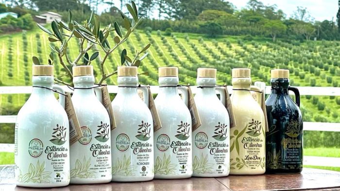 Brasil tem 11 azeites entre os 100 mais premiados do mundo em 2025; veja marcas