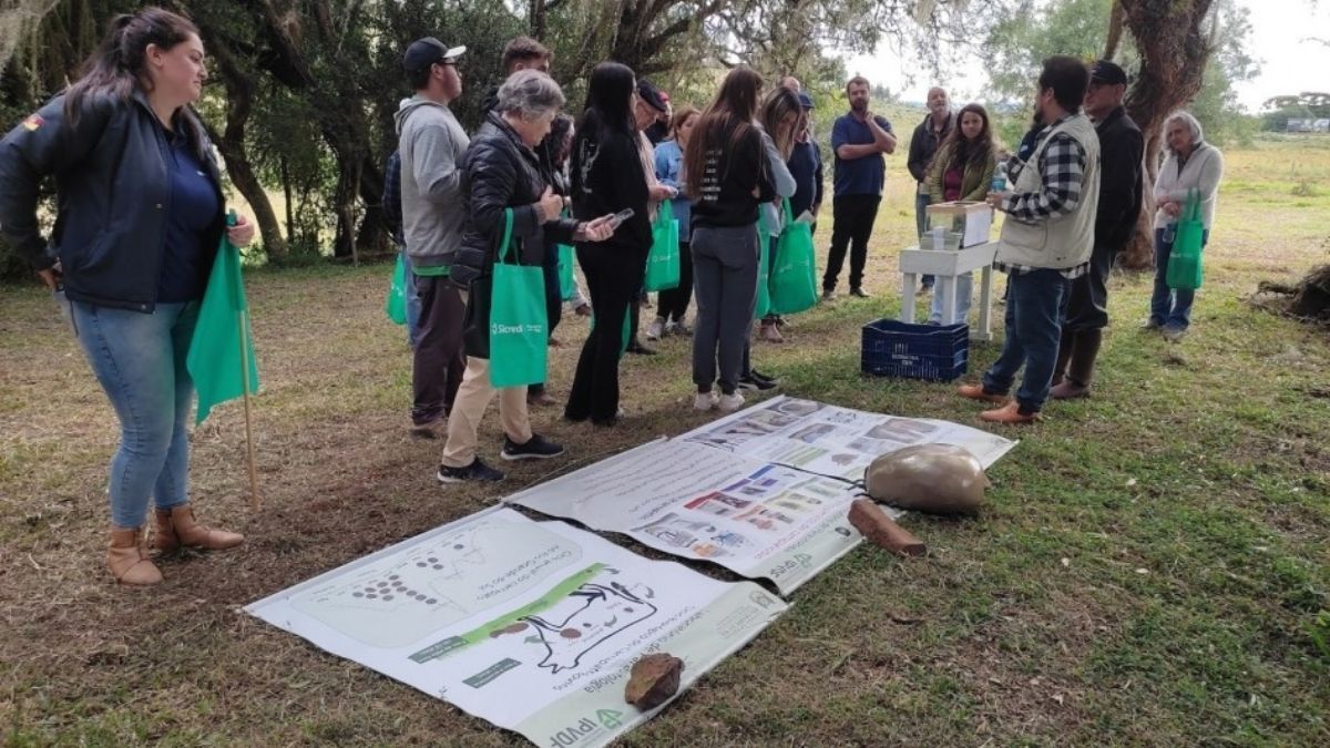 Carrapato bovino gera prejuízos bilionários e desafia pecuária no Brasil