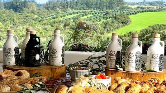 Marca de azeite gaúcha é eleita a 3ª mais premiada do mundo