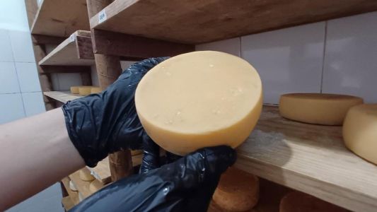 Minas moderniza regras de inspeção para produtos de origem animal com novo decreto