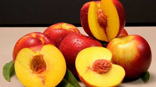 Nova cultivar de nectarina amplia janela de colheita no mercado brasileiro