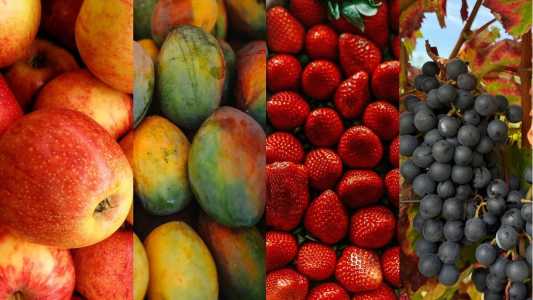 Maça, manga, morangos e uvas estão na lista