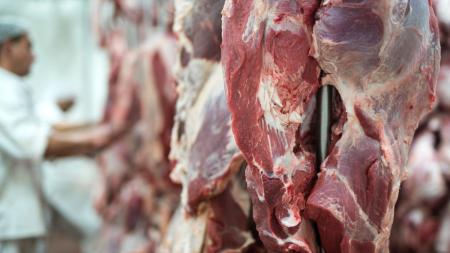 EUA perdem liderança mas seguem comprando carne bovina do Brasil: entenda