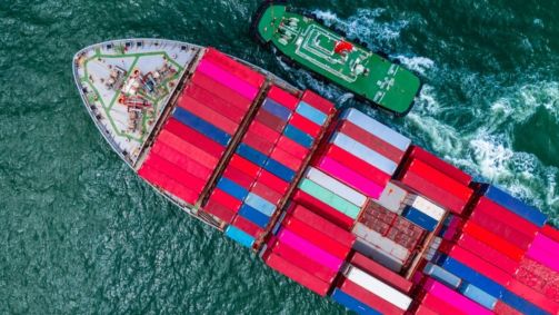 Apesar do tarifaço, EUA abre mercado para produtos brasileiros; entenda