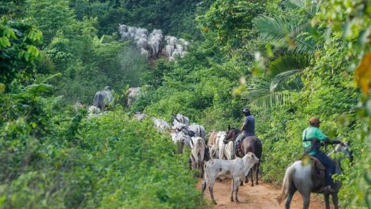Ibama lamenta morte de colaborador baleado em terra indígena no Pará