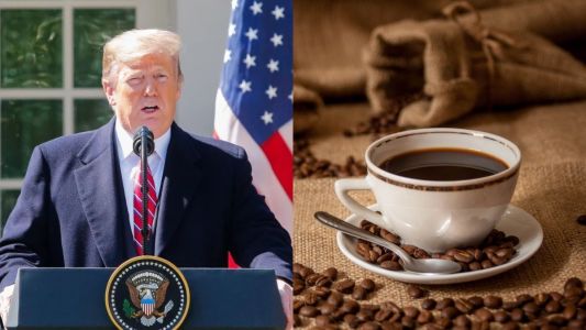 Redução de tarifa dos EUA piora a competição para café do Brasil, afirma Cecafé