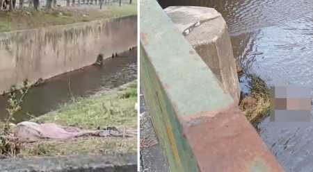 Foto mostra corpo encontrado em córrego na Pampulha, em Belo Horizonte