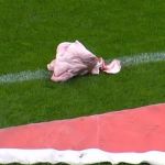 Corinthians x Palmeiras: torcedores jogam cabeça de porco no gramado