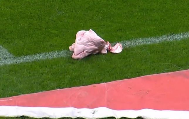 Corinthians x Palmeiras: cabeça de porco foi atirada no gramado da Neo Química Arena