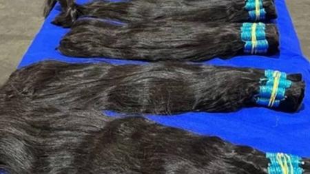 Cabelo foi encontrado abandonado em porto e foi apreendido pela Receita Federal