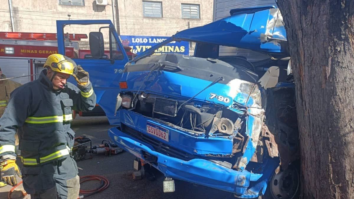 Cabine de caminhão fica destruída em acidente com árvore na BR-381; veja imagens   