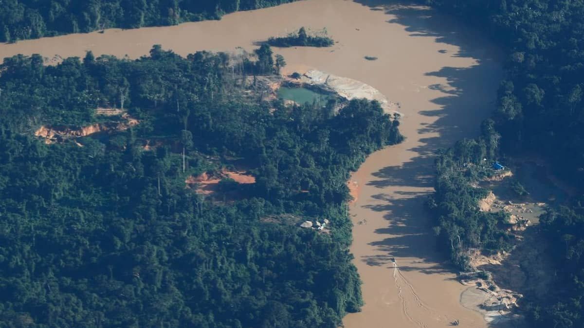 Ibama instala barreira para evitar garimpo ilegal em terras Yanomami