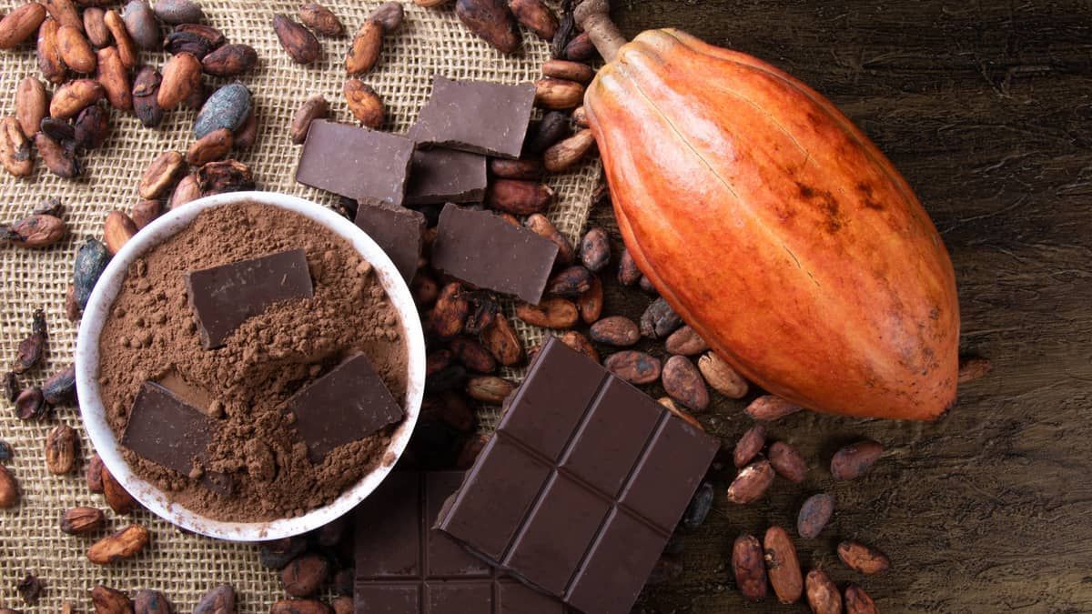 Senado aprova projeto que aumenta percentual mínimo de cacau no chocolate