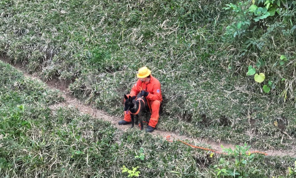 Bombeiros resgatam corpo de idoso na área rural de Visconde do Rio Branco
